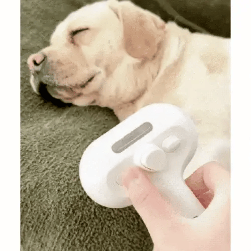NordicPaws® Smoothi Steamer Brush